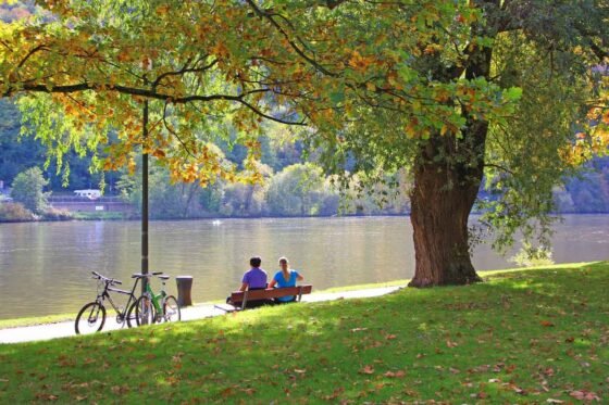 Parks – CACMR